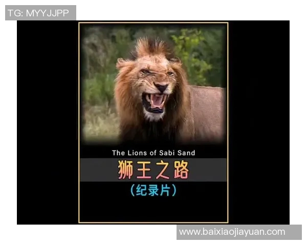 足球明星舞狮背后的故事与传奇人物揭秘